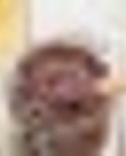 Black olive tapenade