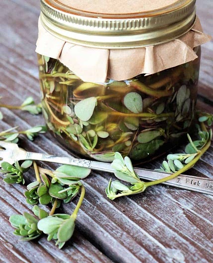 Pickled Purslane