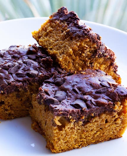 Chocolate Swirled Pumpkin Bars