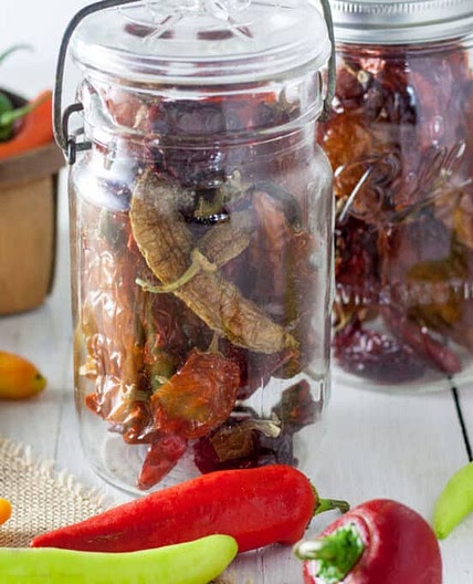Dried Peppers - 4 easy methods