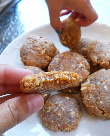 Apricot Coconut Dehydrator Cookies - GAPS Friendly