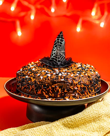 Bewitched Double Chocolate Nutella Cake