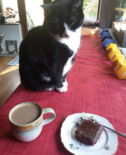 Extremely squidgy black bean chocolate brownies