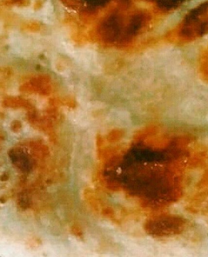 कश्मीरी रोटी (kashmiri roti recipe in Hindi)