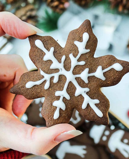 Cocoa and Ginger Xmas Cookies