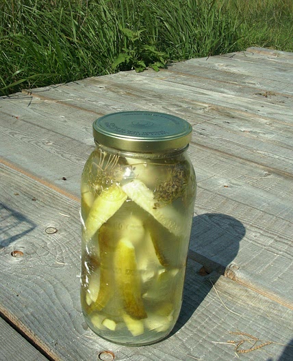 Sun Cooked Pickles