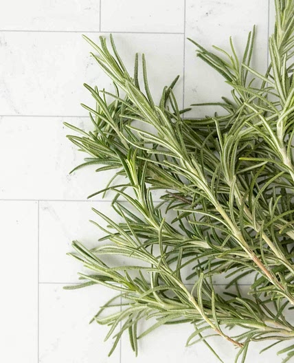How to Dry Rosemary