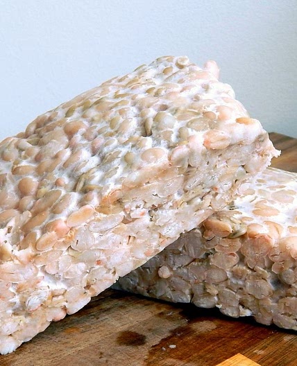 Lentils, Chickpeas, and Bean Tempeh