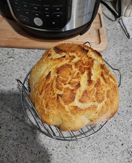 Kylee's Easy 3 hour Dutch Oven Bread