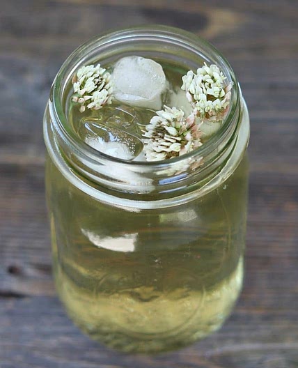 White Clover Iced Tea