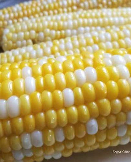 How To Dehusk Sweet Corn