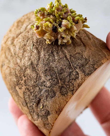 How to Tell if Potatoes are Bad