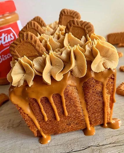 Lotus Biscoff Loaf Cake