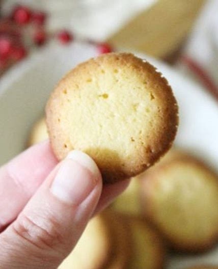 Homemade Vanilla Wafer Recipe