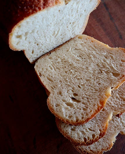 Kate's Soft Sourdough Master Recipe