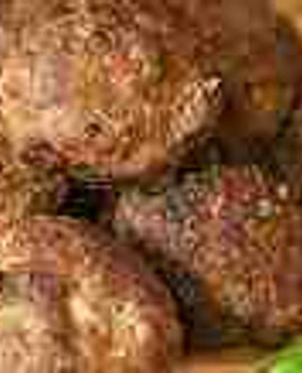 Olive Garden Meatballs