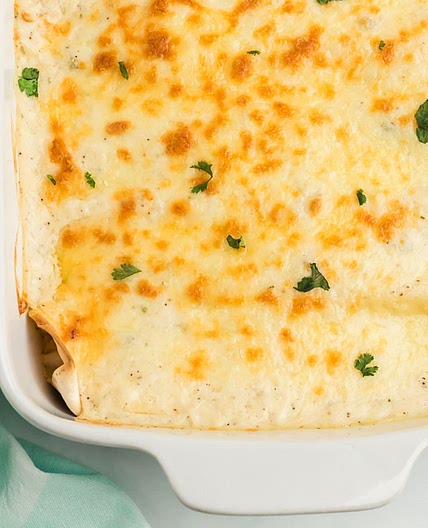 Easy Sour Cream Chicken Enchiladas