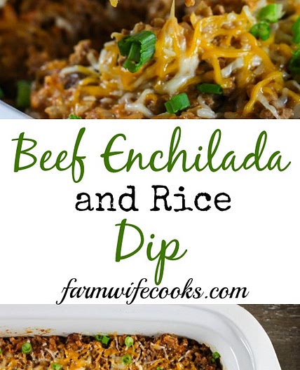 Crock Pot Beef Enchilada and Rice Dip