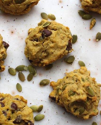 Low Fodmap Spiced Pumpkin Oat Cookies