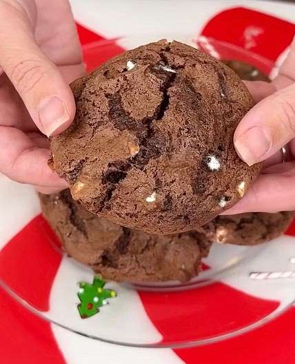 Hot Cocoa Cookies