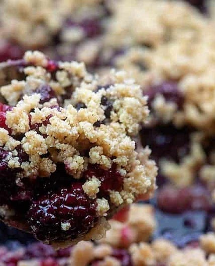 Low Carb Blackberry Cobbler