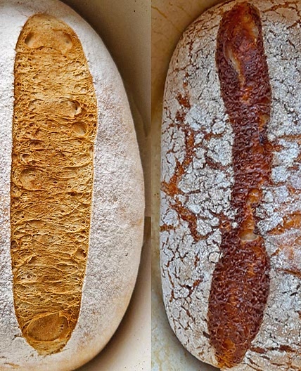 Two-Way Gluten Free Dutch Oven Bread