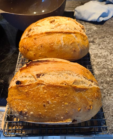 Pain aux noix