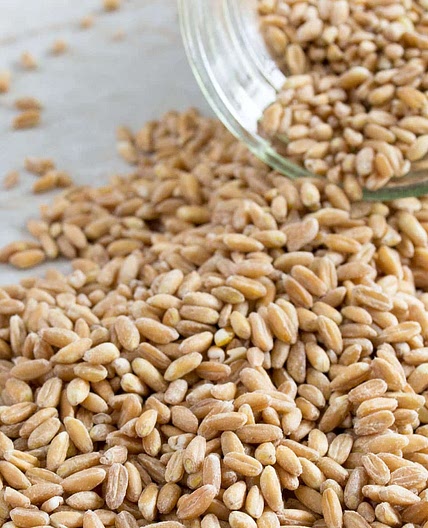 How to Cook Farro on the Stove