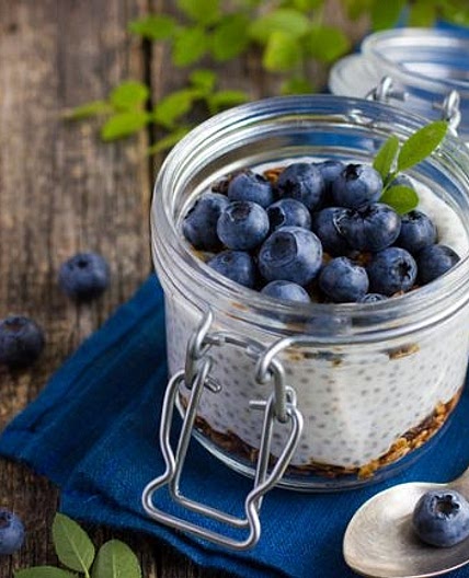 Frozen Blueberry Chia Pudding