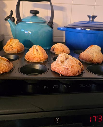 Chocolate chip muffins