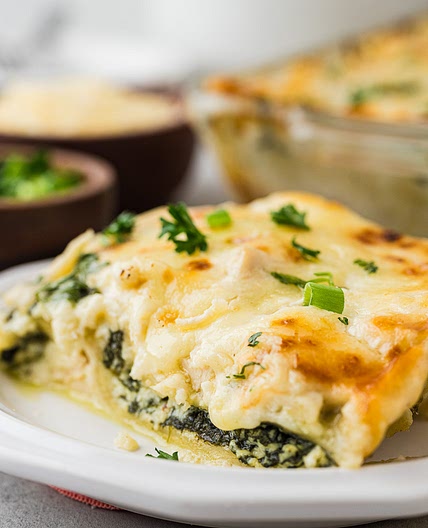 Chicken Alfredo Lasagna