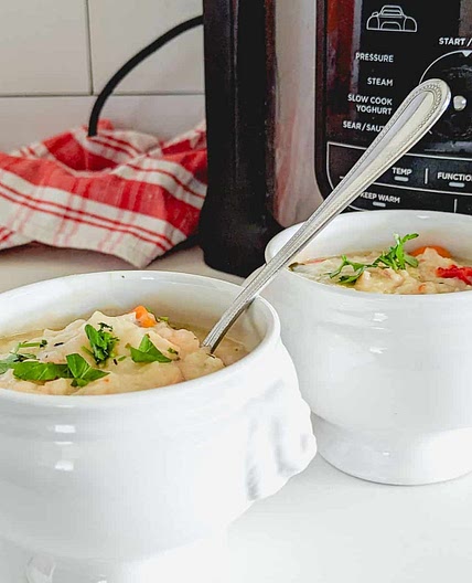 ninja foodi chicken vegetable soup