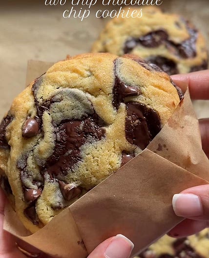 Two Chocolate Chip Cookies