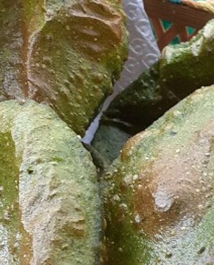 पालक पूरी (Palak Puri recipe in Hindi)