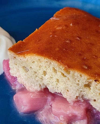 Rhubarb & Ginger Pudding