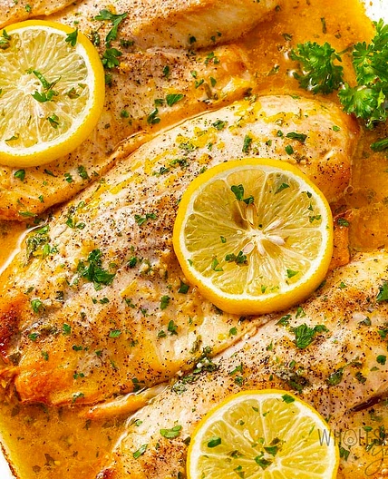 Tilapia