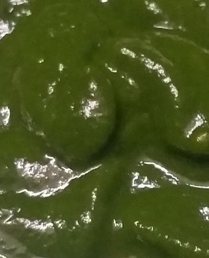 धनिया की मसालेदार चटनी (dhaniya chutney recipe in hindi)