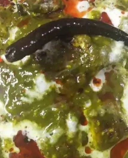 पालक पनीर (palak paneer recipe in Hindi)