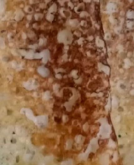 चावल के आटे का चीला / डोसा (chaval aata dosa recipe in hindi)