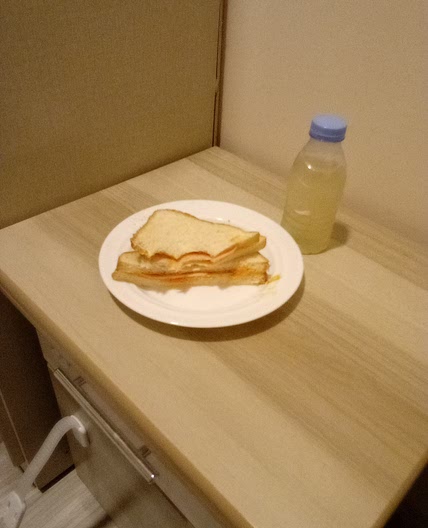 The Perfect Sandwich (no stove)
