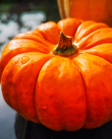 Easy Roast Pumpkin Seeds Recipe