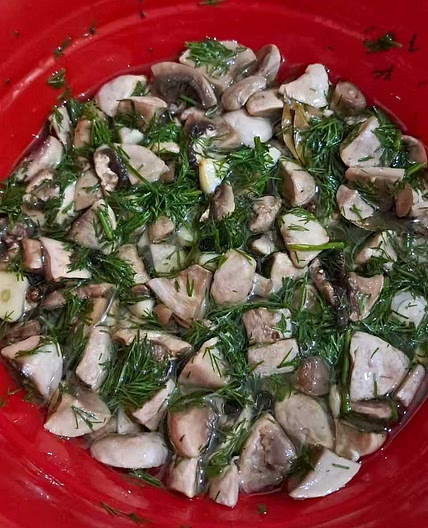Маринованные шампиньоны