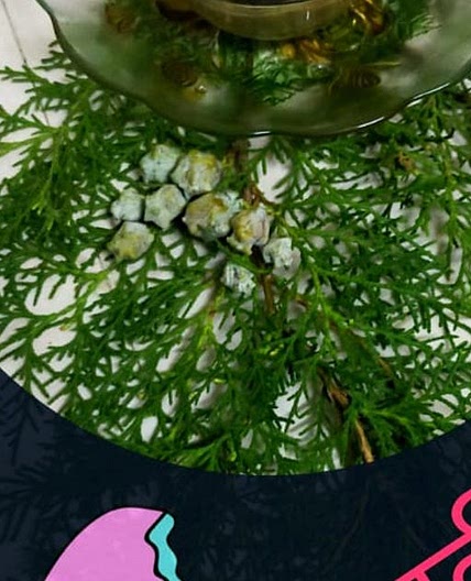 बिस्कुट आइसक्रीम (biscuit ice cream recipe in Hindi)