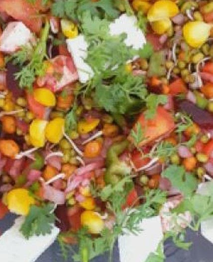 Healthy Paneer salad with sprouts