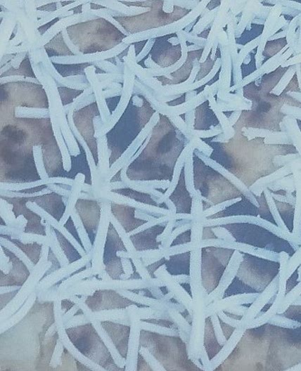 चीज़ आलू पराठा(cheese aloo paratha recipe in Hindi)