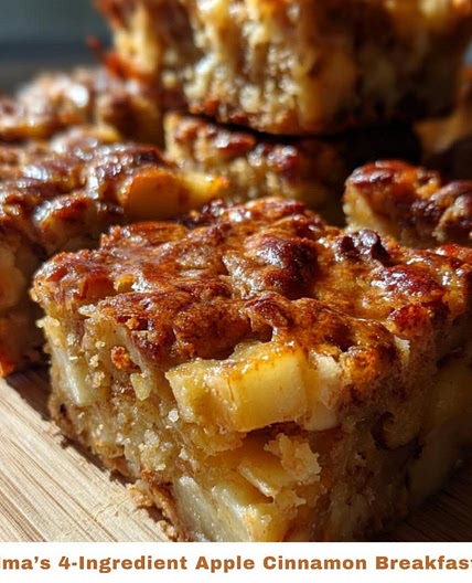 4 Ingredient Apple Cinnamon Bars