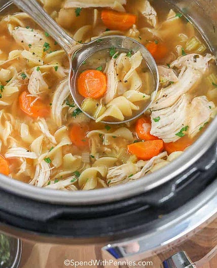 Instant Pot Chicken Noodle Soup