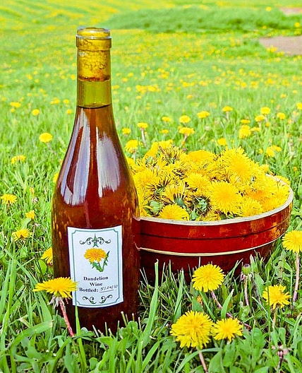 Old-Fashioned Dandelion Wine Recipe