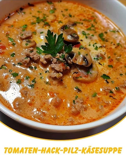 Tomaten-Hack-Pilz-Käsesuppe