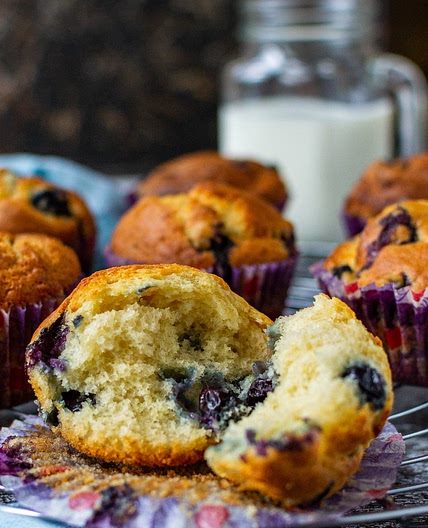 Greek Yogurt Blueberry Muffins (Low Sugar Recipe)